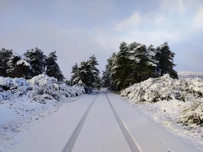 Paisagem de Trás-os-Montes