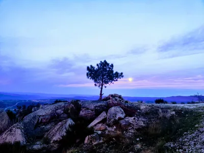 Paisagem de Trás-os-Montes