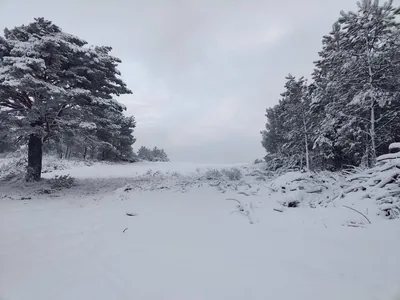 Paisagem de Trás-os-Montes