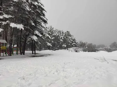 Paisagem de Trás-os-Montes
